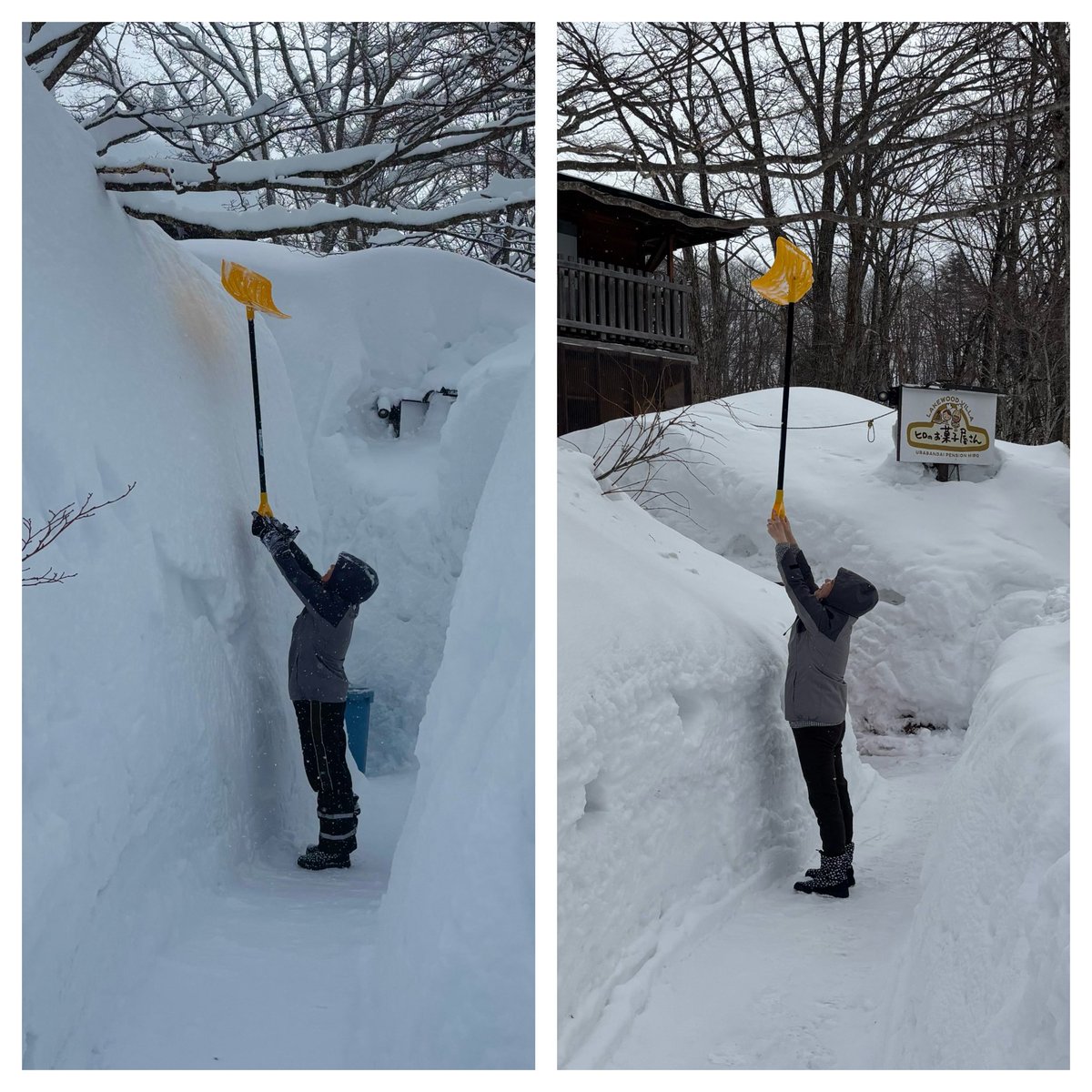 ruirui8181's tweet photo. 裏磐梯レイクウッドペンション村
昨年の2月と比較すると
ほぼ半分の積雪量です

#裏磐梯
#北塩原村
#レイクウッドペンション村
#積雪量
#空ネット https://t.co/tRk5P3wrqQ