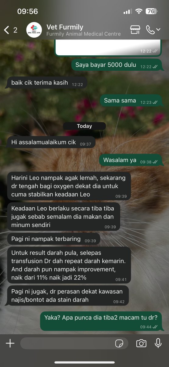 Tolong doakan Leona korangggg