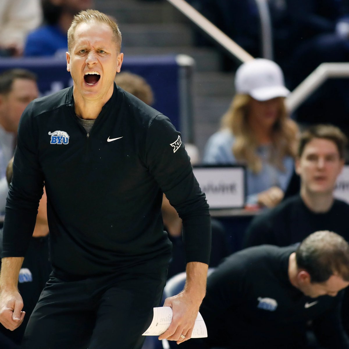 Full Share Ute 🐦‍⬛🦅 tweet media