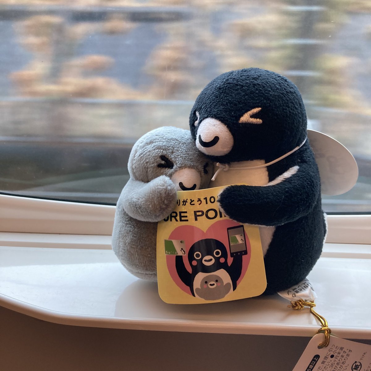 🐧兄さん、ぬっしー、トレニアートさん開店前で青ざめてましたね

🐧ぬっしーにとっての東京駅は、駅というよりペンギン観測場だからな

🐧その後、猛然とトーキョーミッツさん経由で本屋へ
恥ずかしげもなく「1ポイントだけ使います。あとはビューカードで」って凄い心臓ですねー

🐧シールのためだ