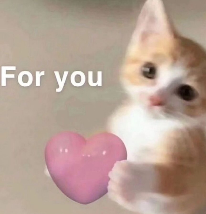 Punch Cat tweet media