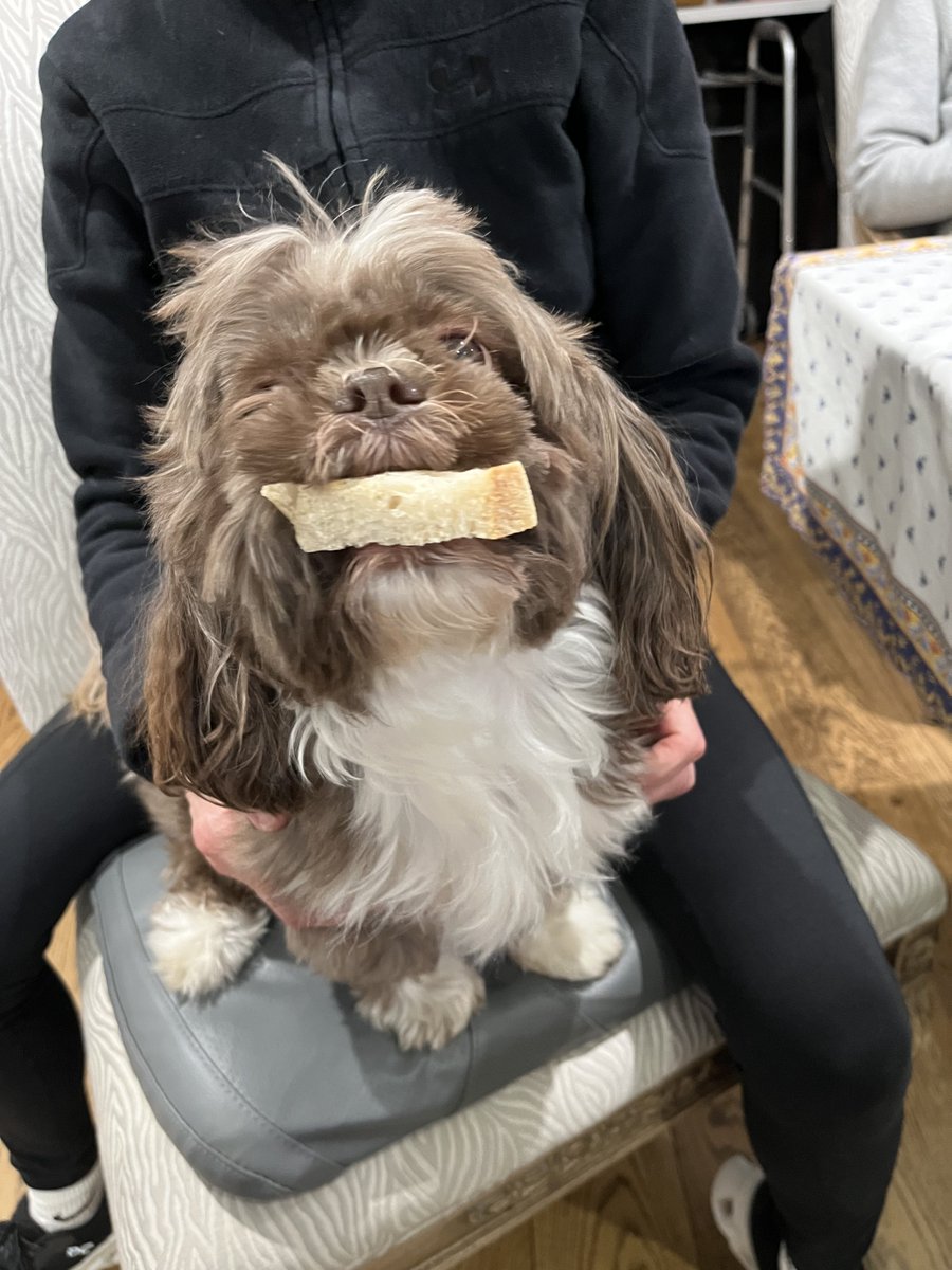 ✡️A. Jay Wasserman 🇺🇸 tweet media