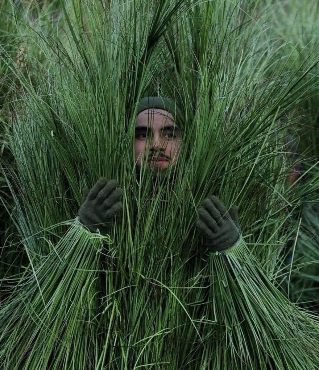 97Vercetti's tweet image. when I see someone I know at the grocery store