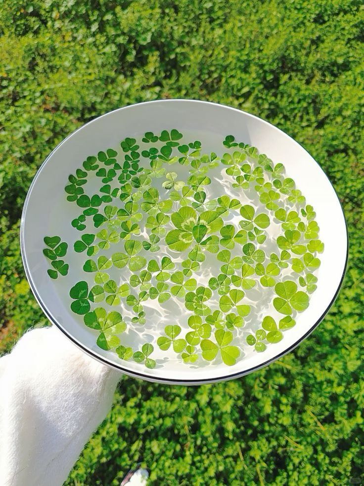 ᅠ ᅠ (@greendreaams) on Twitter photo 