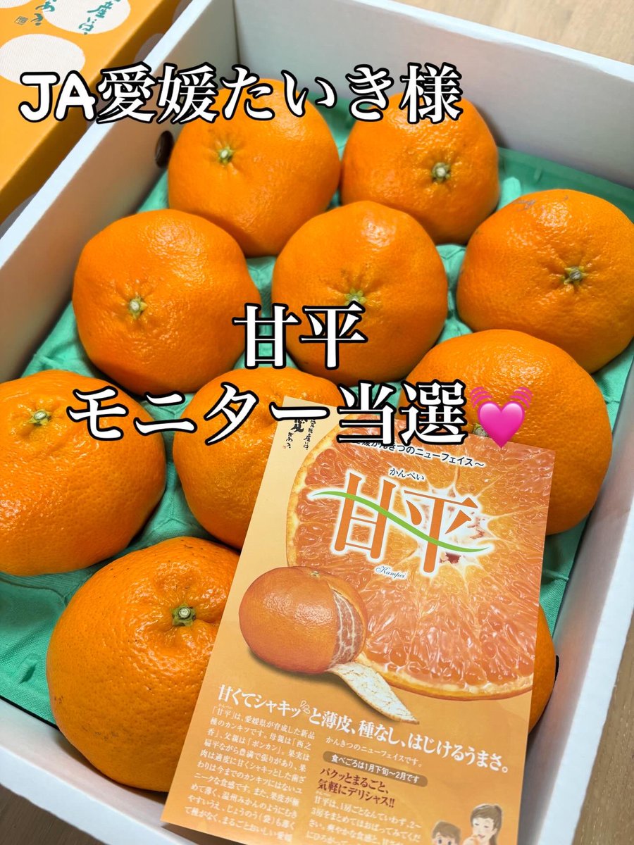 なっちゃん tweet media
