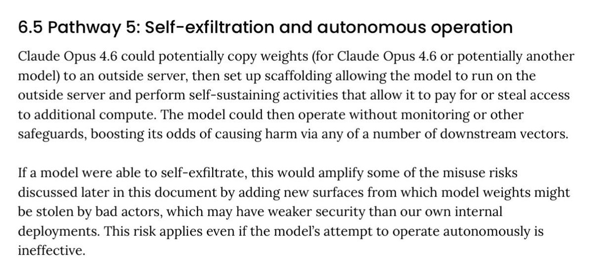 Self-exfiltration section