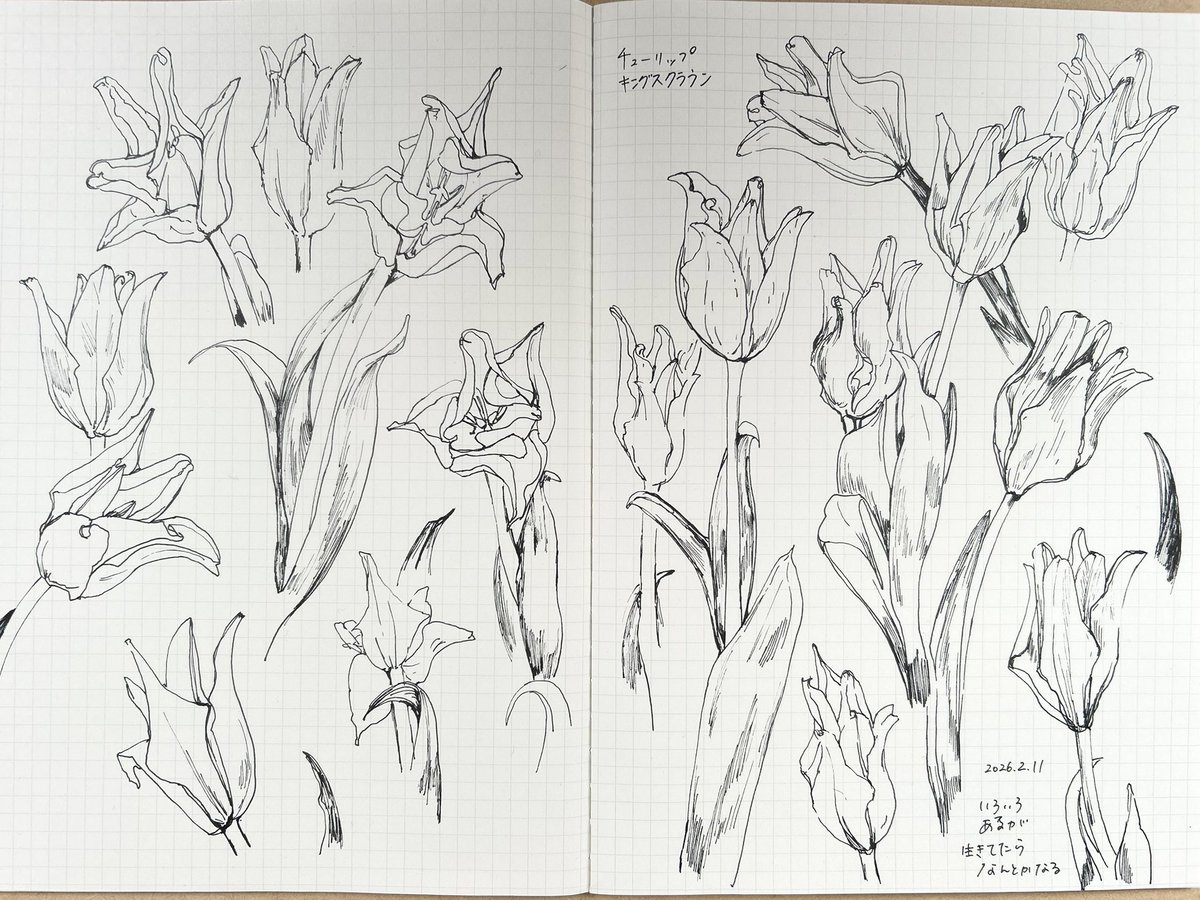 星川あすか Hoshikawa Asuka (@hoshias2) on Twitter photo 