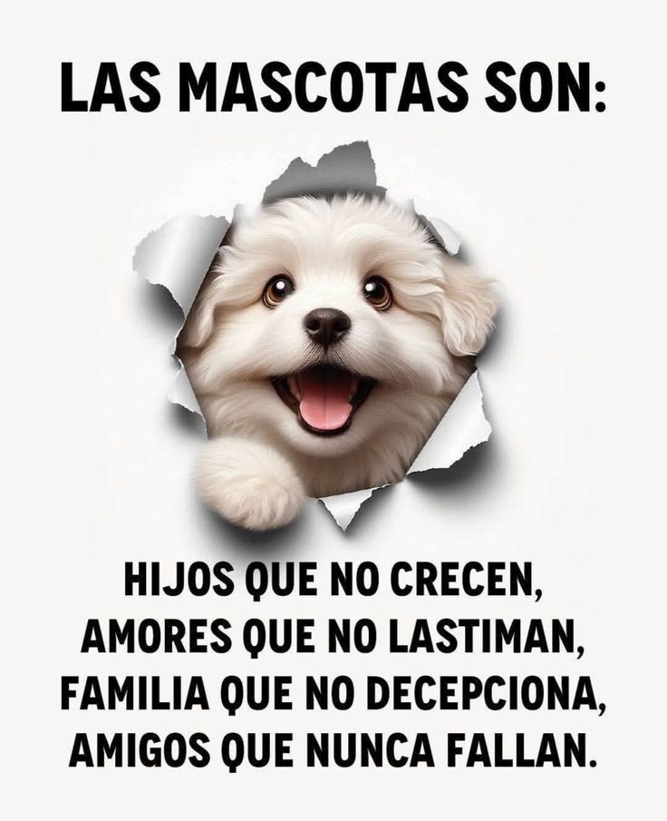 Buenas noches queridos amigos 🥰🥰🥰✌️ bendiciones para todos! Sean buenas personas, demos buenos ejemplos…necesitamos urgente personas más buenas que malas …RT