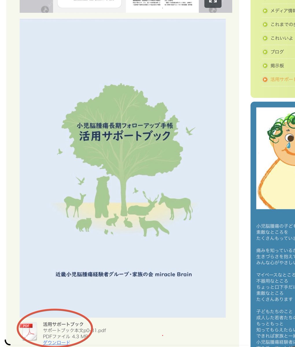 miracleBrain22's tweet photo. 家族会ホームページに冊子をアップいたしました。

近畿小児脳腫瘍経験者グループ・家族の会HP
https://t.co/T1CmpQYxXL

下記のWEBブックURLからのアクセス可能です
https://t.co/YlKqOamUAb https://t.co/o4HkABEqcu