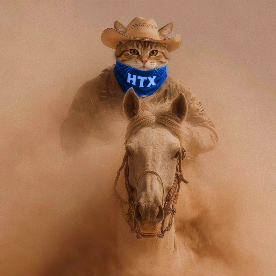 HTX_Global's tweet photo. gm legends 🐎
gm back if still riding with conviction. https://t.co/nN6345Tpmq