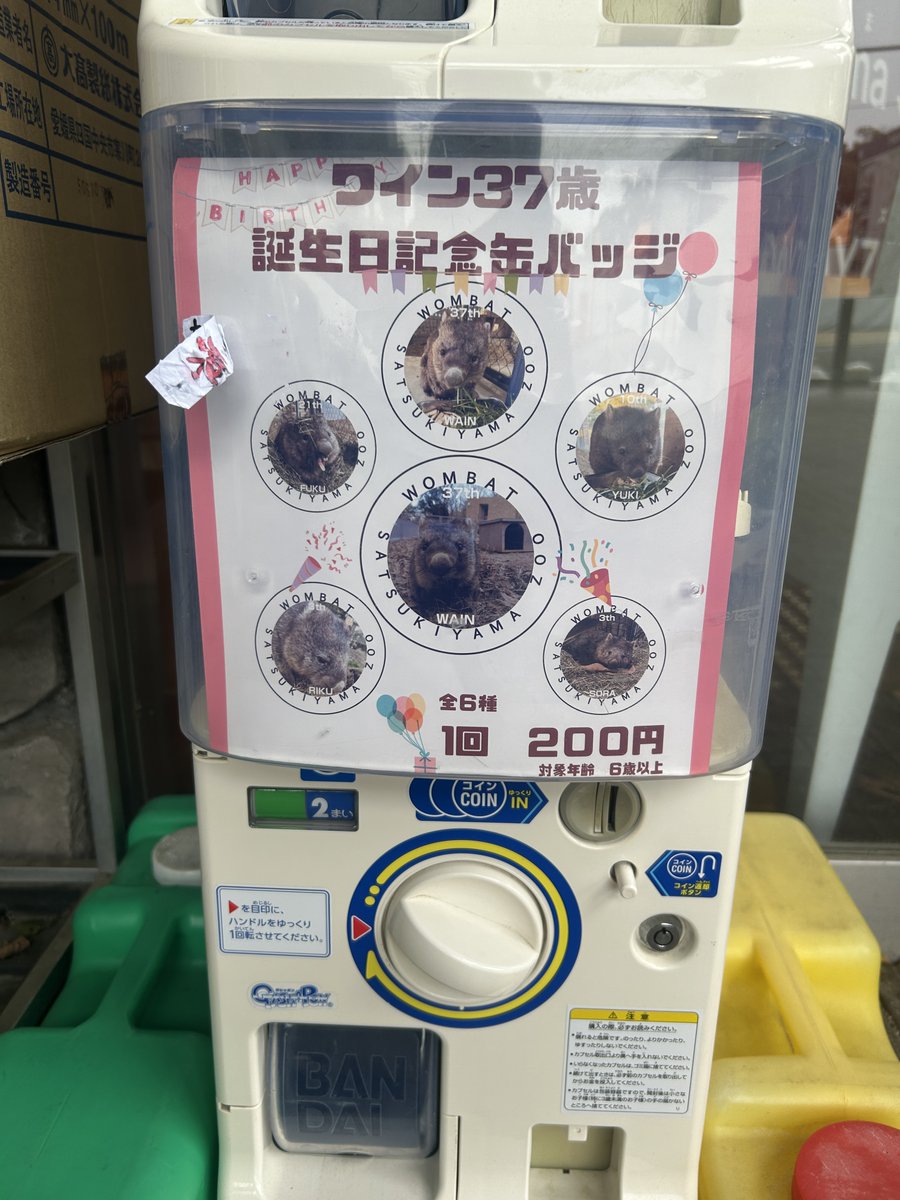 🐾🎉 ウォンバット ワイン お誕生日記念缶バッジ 🎉🐾 本日より販売