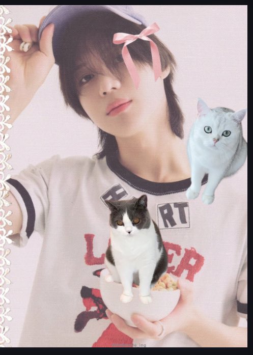 Taemori’s House tweet media