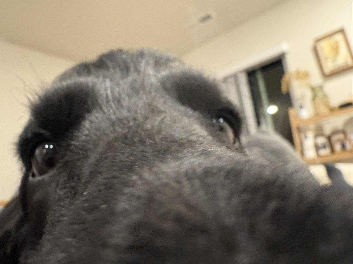 ハヤタ (@hataya2412) / Posts / X