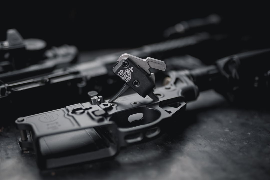 Rise Armament tweet media