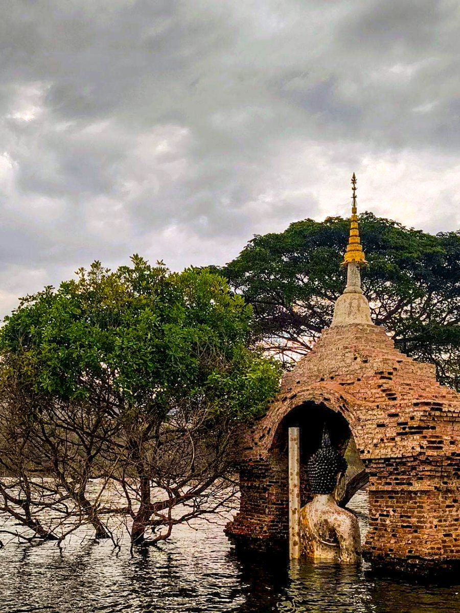 Chiang Mai News tweet media
