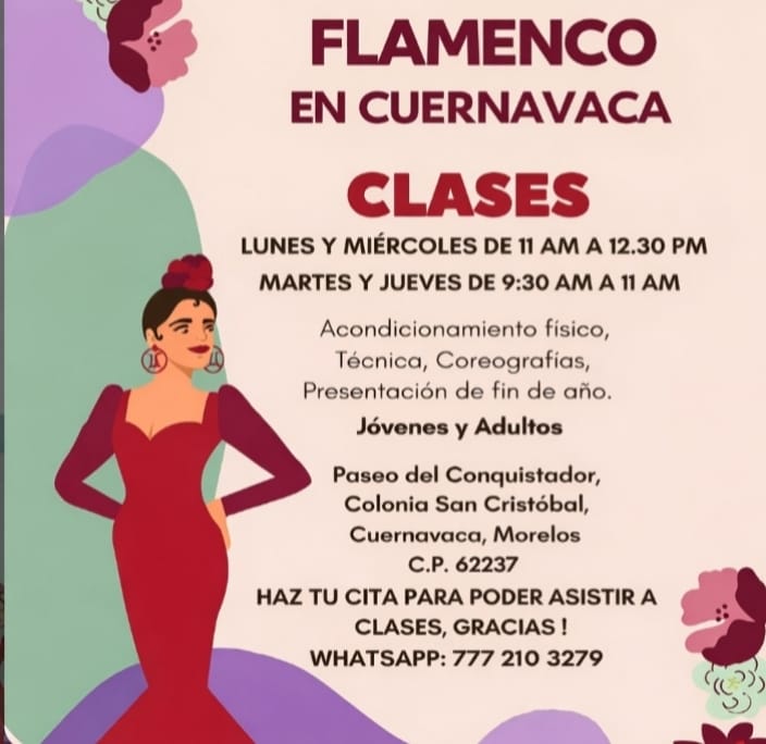 Vida Flamenca tweet media