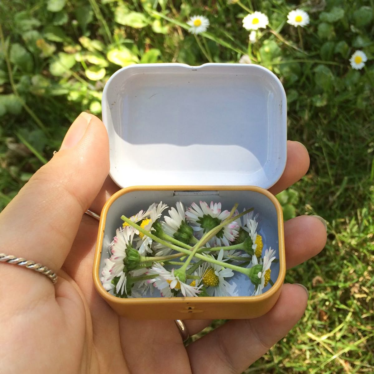 ᅠ ᅠ (@greendreaams) on Twitter photo 