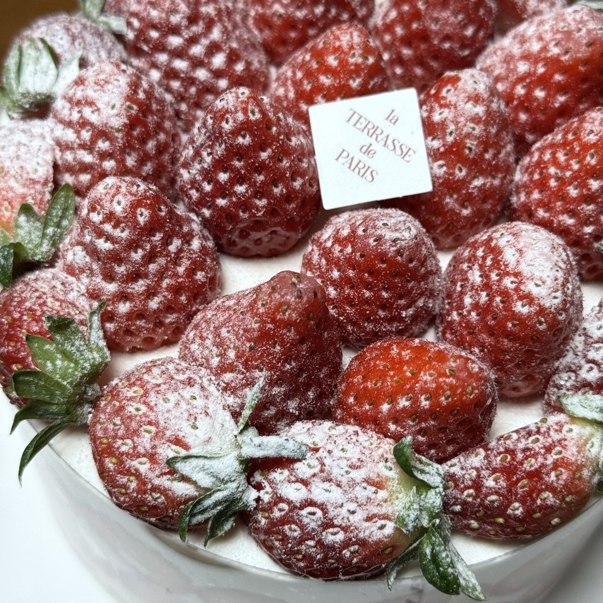 🍓 tweet media