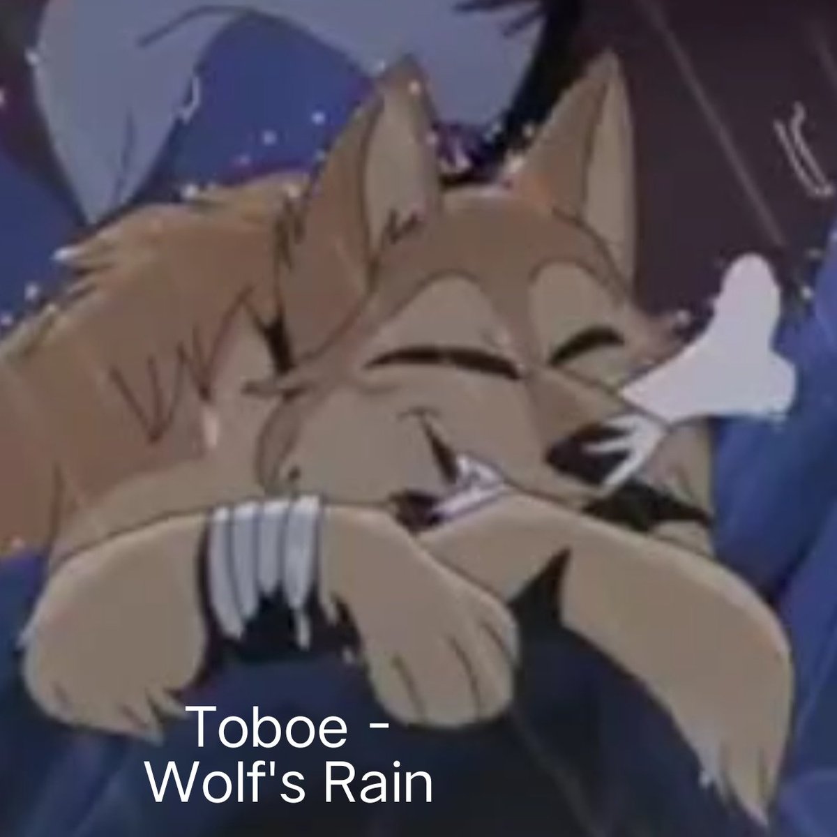 whaleyuan's tweet photo. @TheCynicalhound lol https://t.co/M1ebKdTEtT