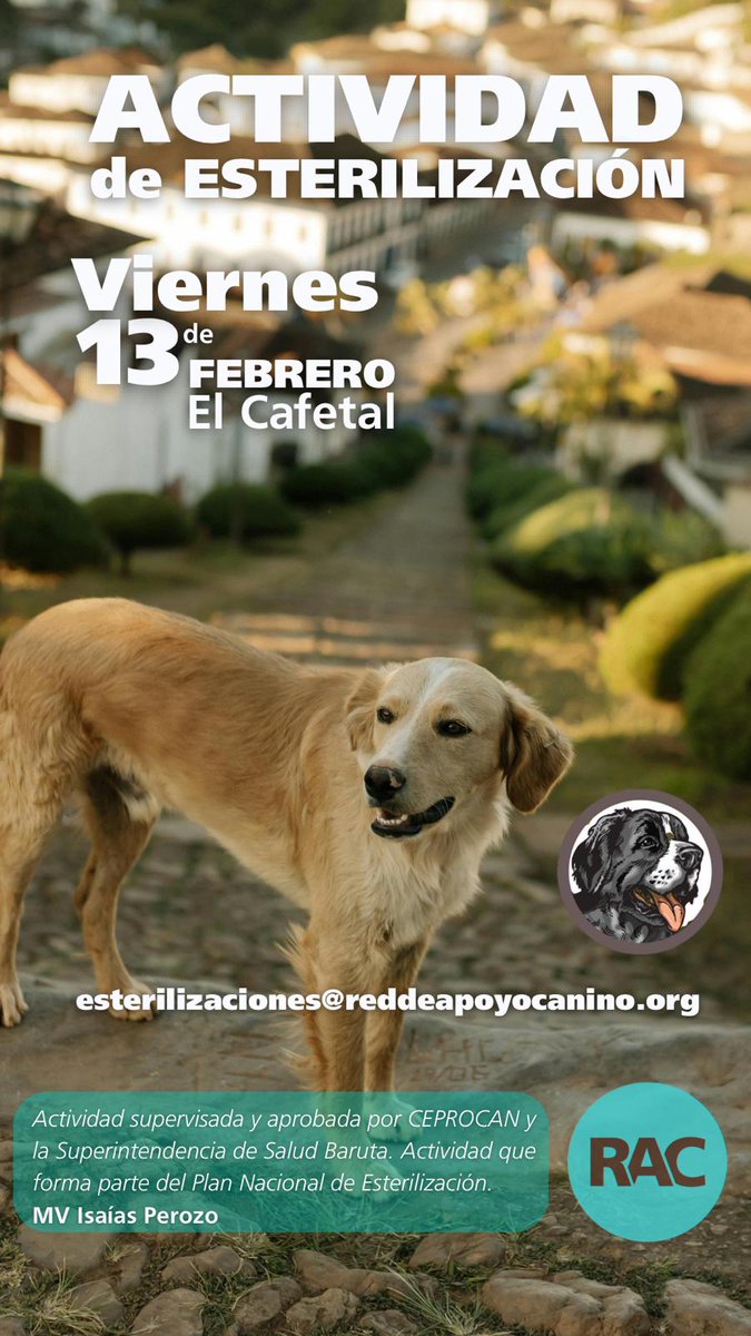 apoyocanino's tweet image. Este viernes 13 estaremos en El Cafetal esterilizando. 
Si desea inscribirse, debe hacerlo a través del siguiente formulario:   *forms.gle/9y9FFzoAm4fe53…*