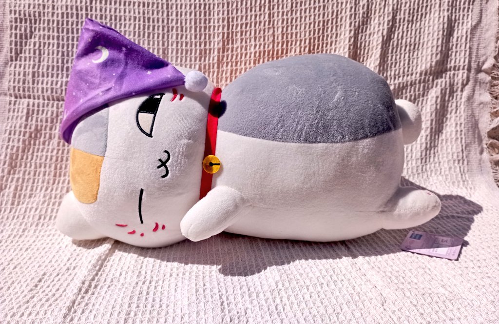 NF_rakapopeter's tweet photo. เนียนโกะ ท่านอน 45 ซม.ป้ายห้อย 250 บาท

ค่าส่ง 40 บาท
สอบถามเพิ่มเติมได้ค้าบบ
#ตลาดนัดนัตสึเมะ #ตลาดนัดเนียนโกะ #เนียนโกะ  #ตลาดนัดnatsume #ตลาดนัดอนิเมะ #ตลาดนัดอนิเมะรวมด้อม #ตลาดนัดรวมด้อมอนิเมะ https://t.co/9MhsARfE4s