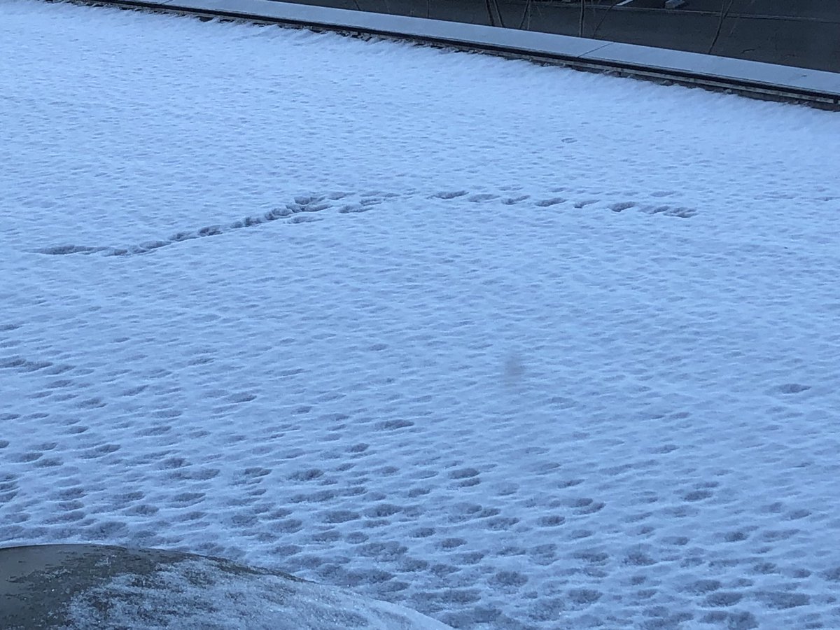 5cois2vaZ5sVcPJ's tweet image. 昨日、日陰の屋根にはまだ雪。岐阜では3月いっぱい雪の可能性があるそうで。あ、3月いっぱいといえば、CVIT東海北陸地方会の演題は3月31日締切です。皆様、よろしくお願いいたします。#CVIT #CVIT東海北陸 #心臓カテーテル #メディカルスタッフ