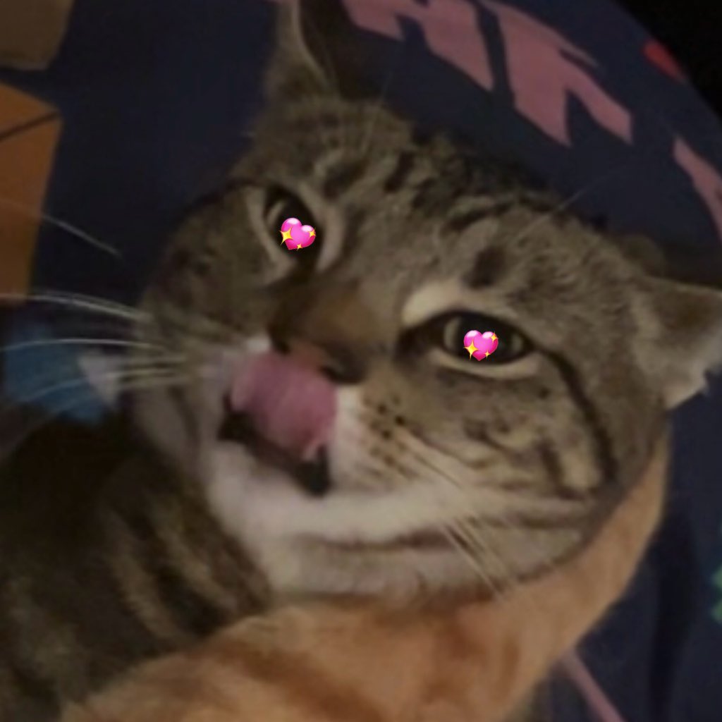 chibi 💕 Vtuber tweet media