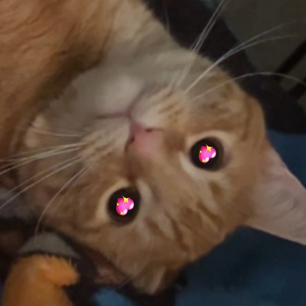 chibi 💕 Vtuber tweet media