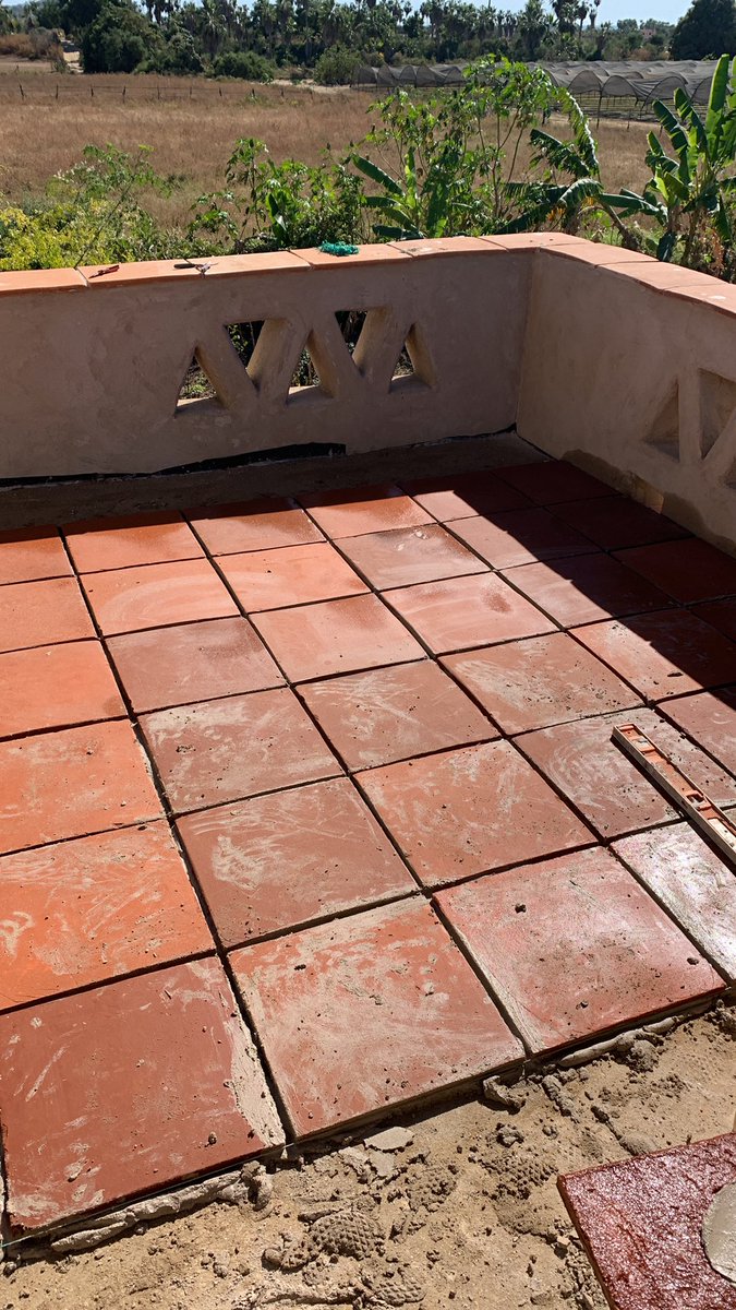 BAJADOBE (QUICKLIME MAXIMALIST) tweet media