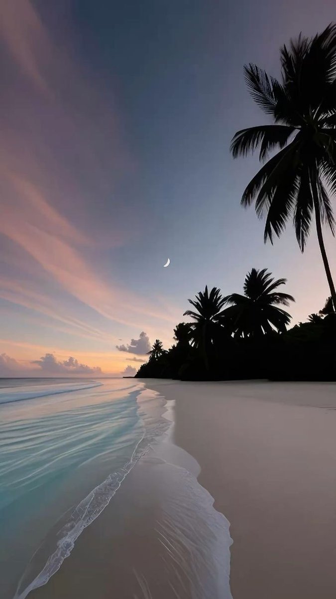 Aesthetics (@aestheticspost_) on Twitter photo 