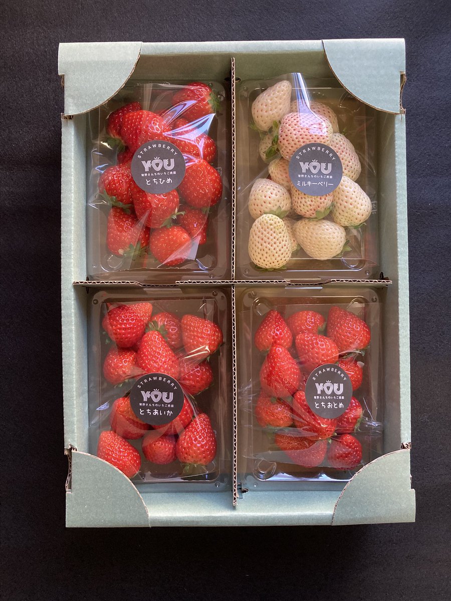 猪野さんちのいちご農園 (@inosanchino15) / Posts / X