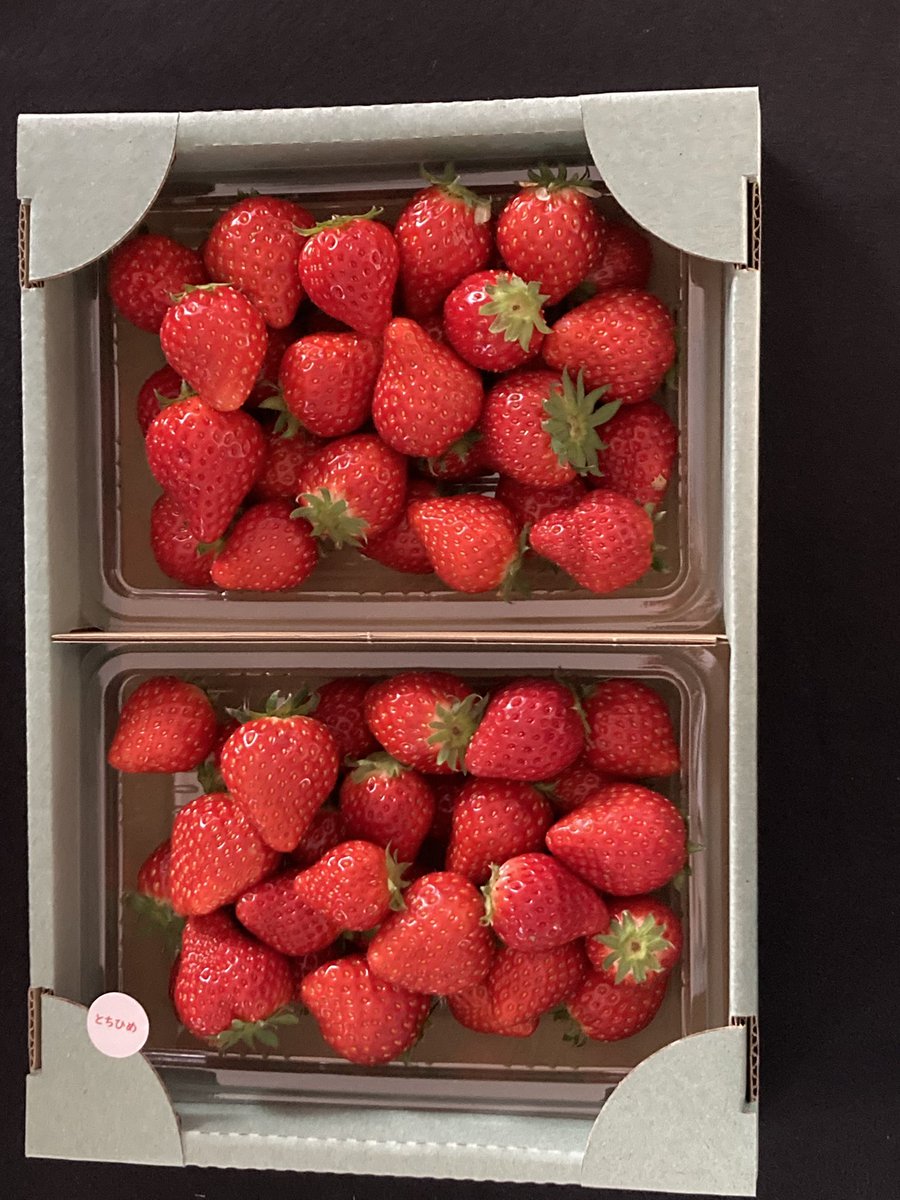イチゴ15 猪野さんちのいちご農園 (@inosanchino15) / Posts / X