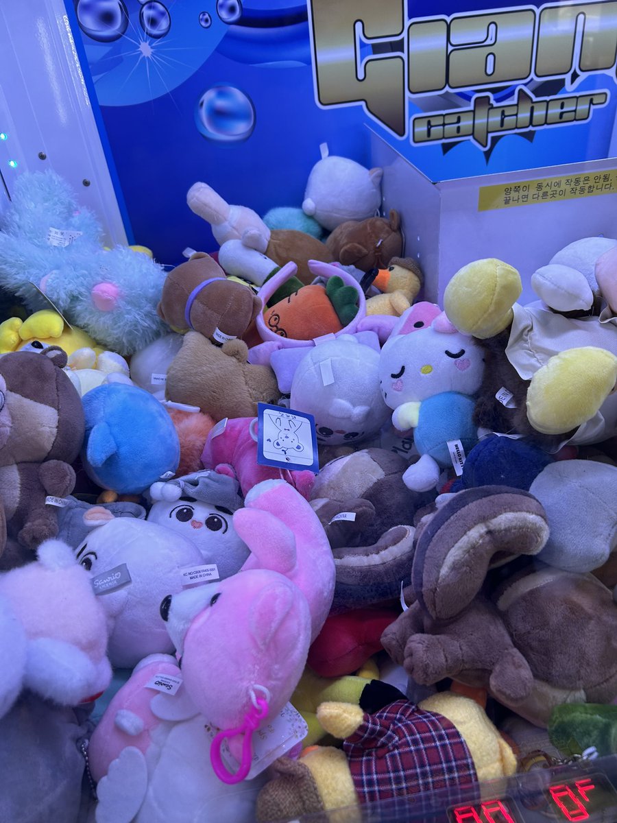 얘네들은….왜 휴게소에서 살고있는거지????
많은데….