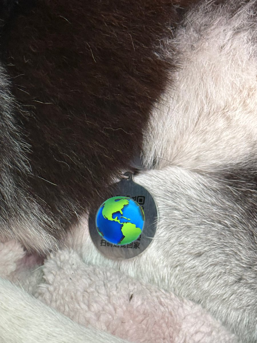 김도앵 tweet media