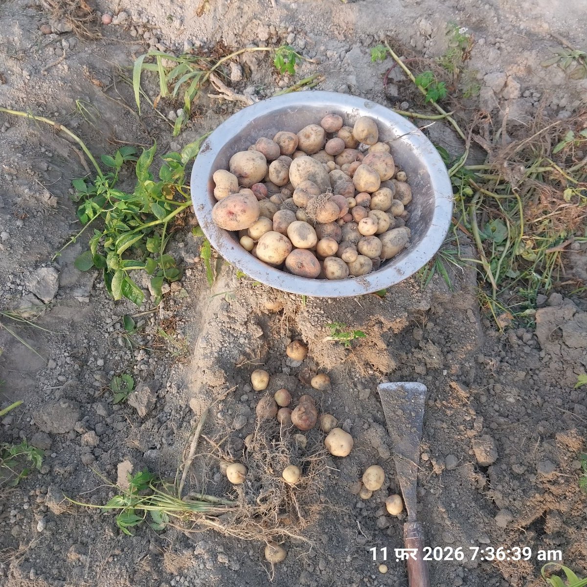 manoj_kushva's tweet image. गरीब #किसान कल भी #मर रहा था, आज भी मर रहा है । कुछ भी नही #बदला सिर्फ #बतों के आलावा। 
"घुस नही तो कुछ नही"
जय श्री राम 🚩🙏🌾