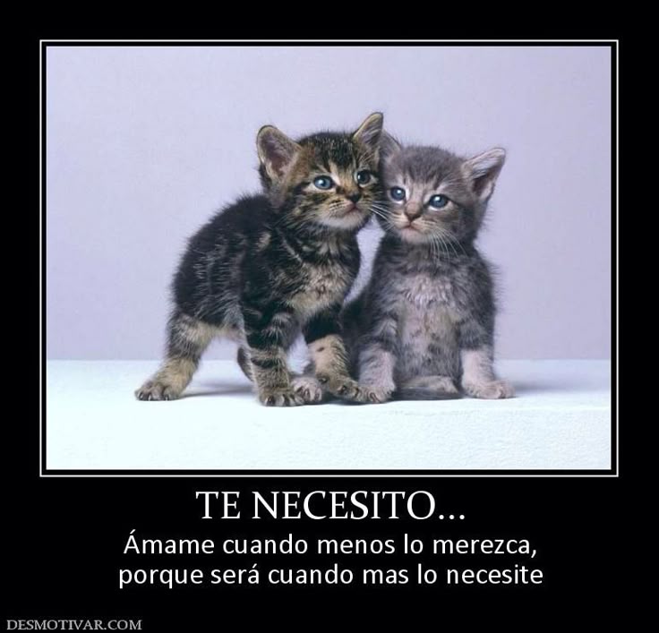 joKki#FF (@liljoki) on Twitter photo 