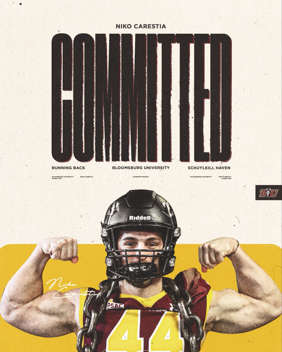 Niko Carestia tweet media