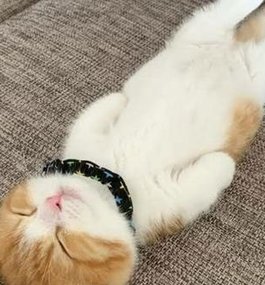 OUSSAMACSC2013's tweet image. どっちの地球の？ 🐽