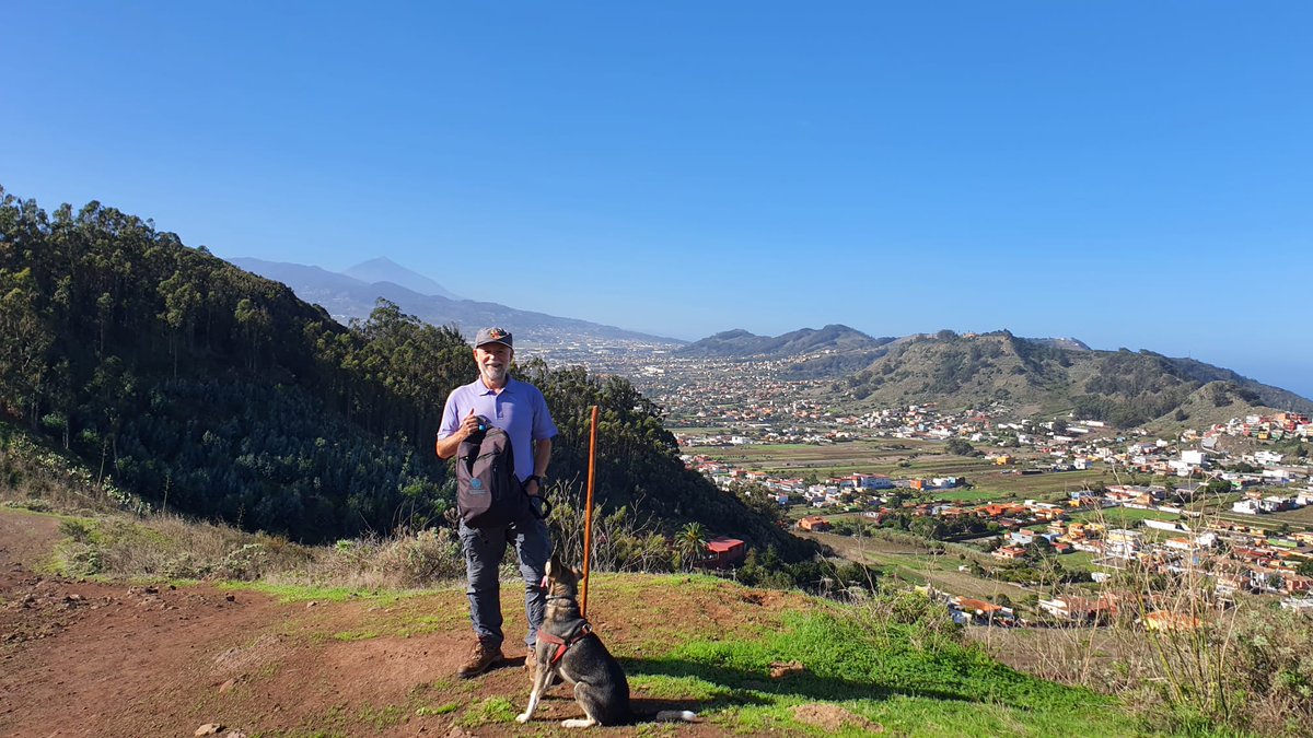 Luis Ortigosa. Pediatra. tweet media