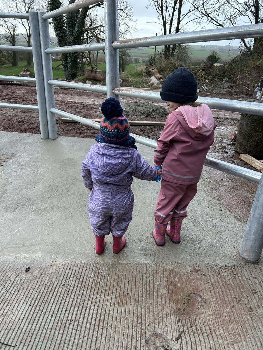 Maeve O Keeffe tweet media