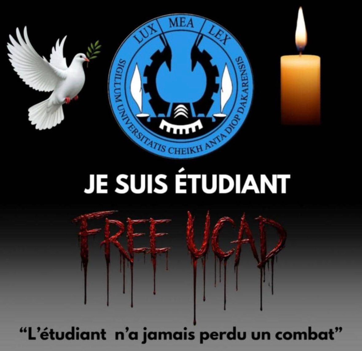 👨🏻‍💻Day 18 of #100DaysOfCode 🚀

I have been absent for the past few days because I am very affected by the university situation. #FreeUCAD

Focus du jour :

✅ 3 h Python 🐍
✅ 1 h SQL 🗄️
✅ 2 h React ⚛️ 
✅ 3 h Université 🎓
❌ 1 h Running 🏃
❌ 1 h Anglais 📚

#DataScience #AI