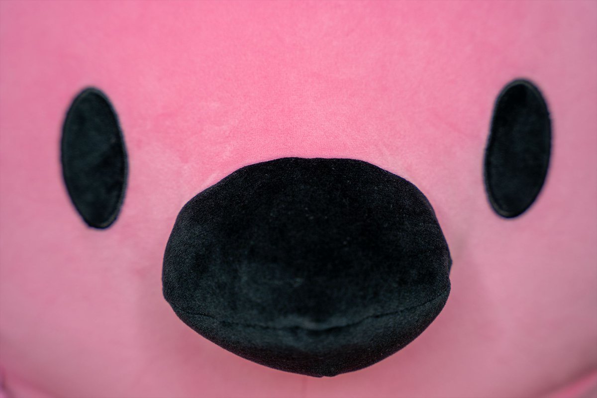 Collector's Anxiety tweet media