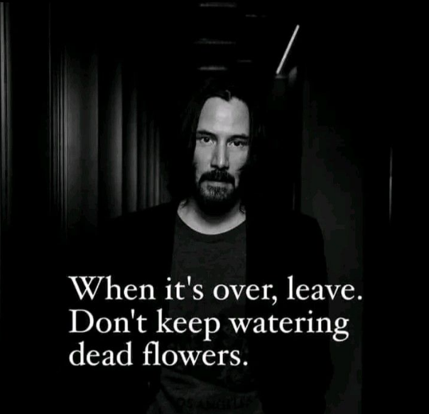 Mindful Maven (@mindfulmaven_) on Twitter photo 