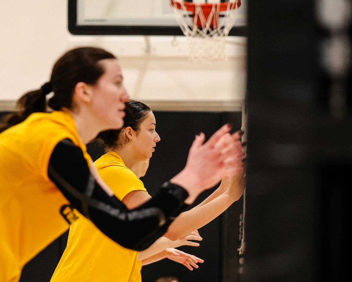 Iowa Volleyball tweet media