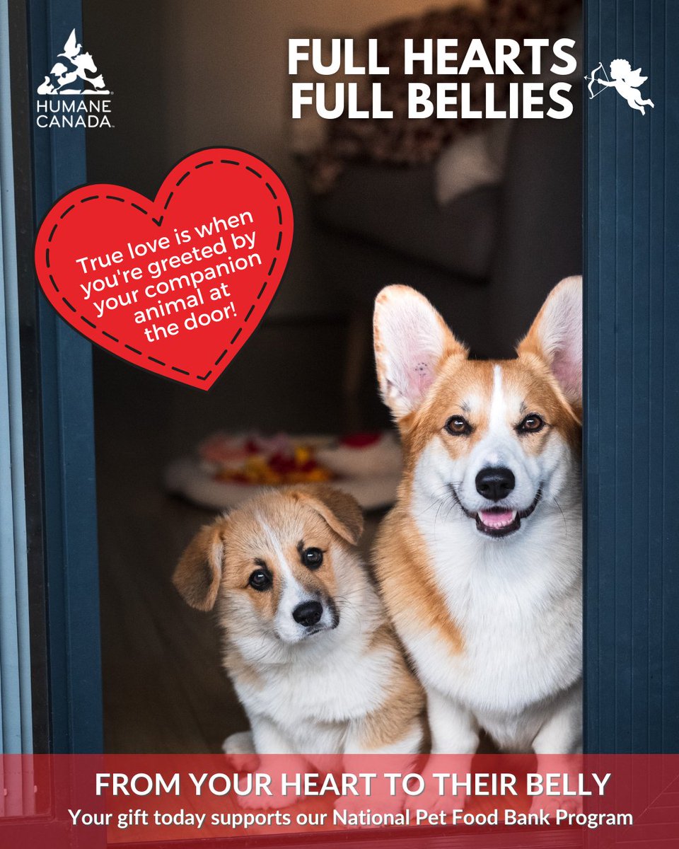 Humane Canada tweet media