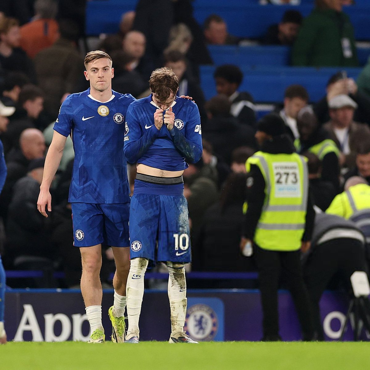 مشعل tweet media