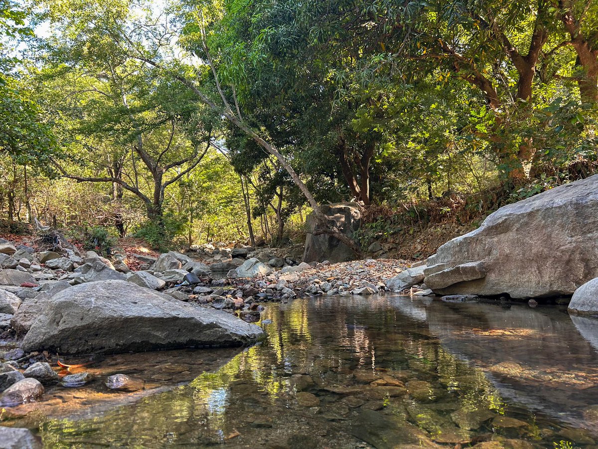¿Sabias que el cerro Chocolate de Santo Tomas del Norte también es llamado San Jaime?  
Es un sitio que a pesar de su distancia desafiara tus limites, pero también disfrutarás de la naturaleza⛰️
Ven a conocerlo con nosotros 📞8739 5494 
#NicaraguaFascinanteIrresistible