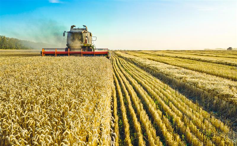 Canadian Chamber of Commerce tweet media