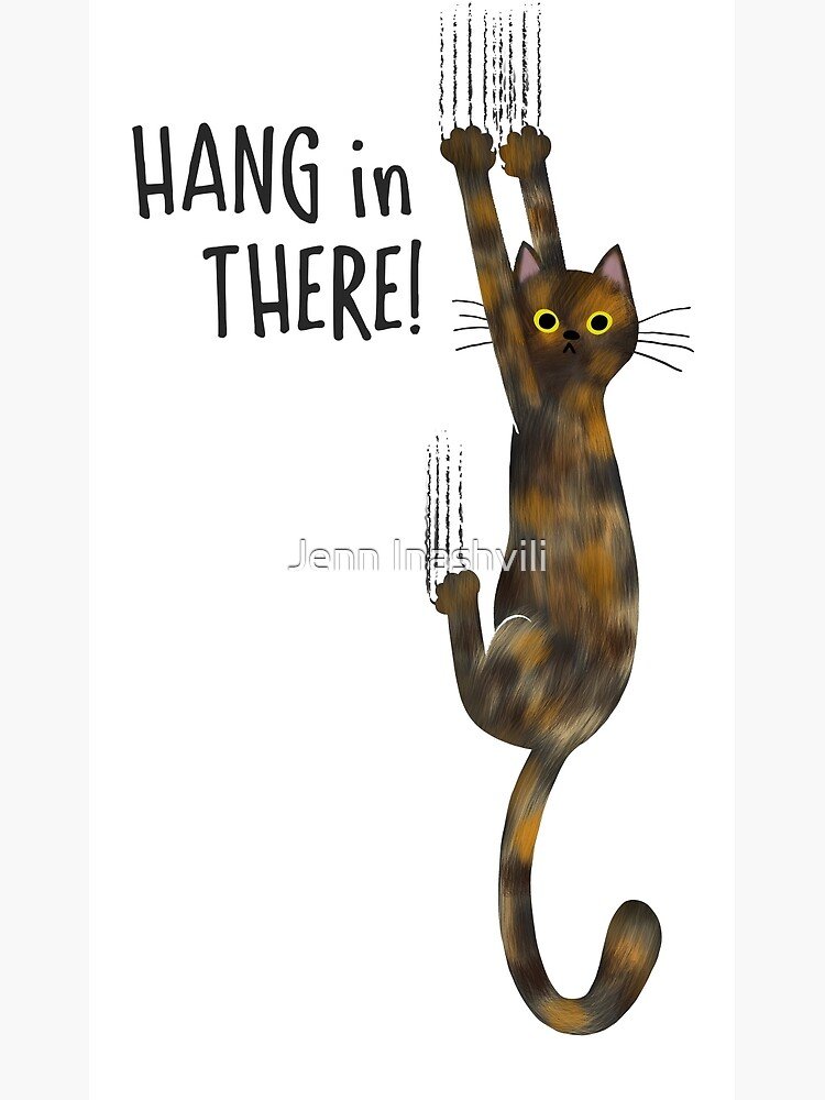 Cheds Trading tweet media