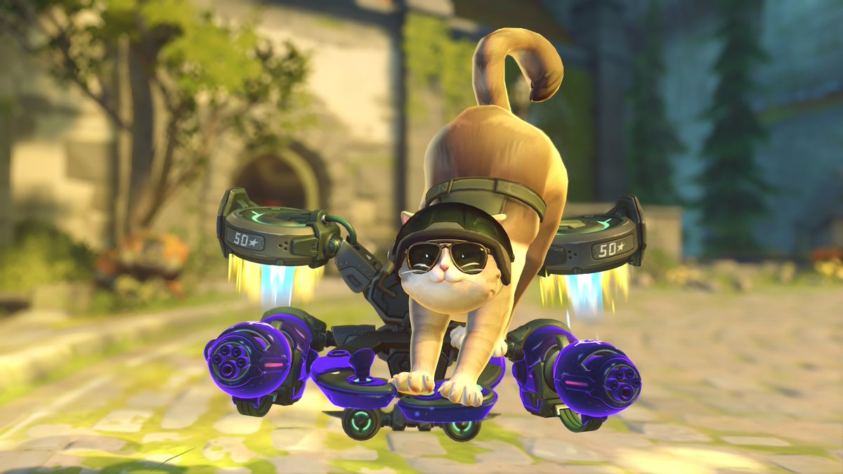 BattyEnit's tweet image. Jetpack cat